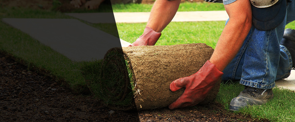 Shakopee Landscapers